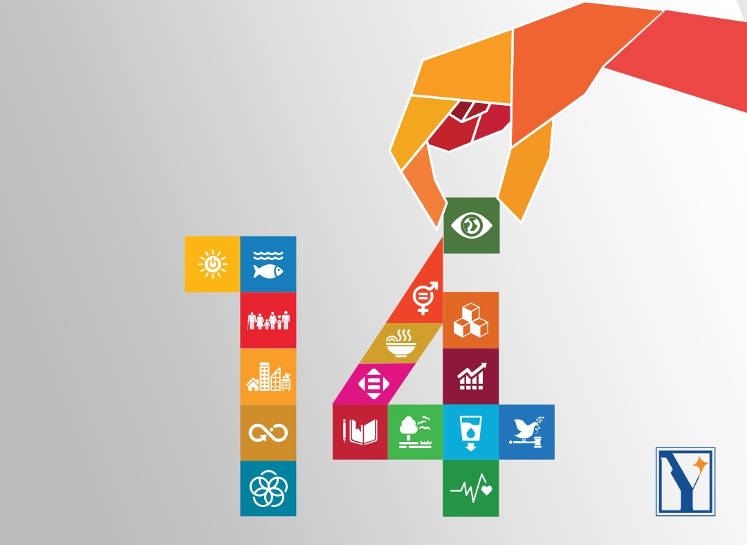 Yeşim 14. Sürdürülebilirlik Raporunu Yayımladı!